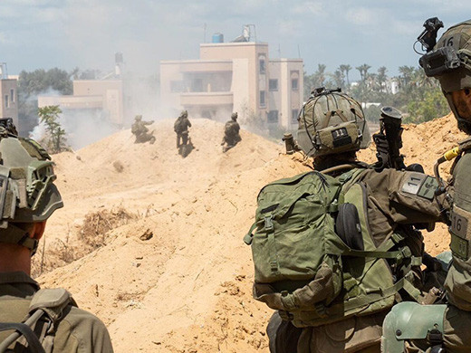 Las Fuerzas de Defensa de Israel FDI