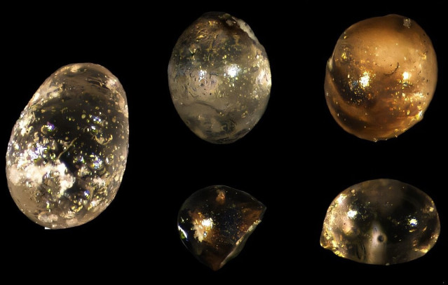 Imagen De Microscopio De Gotitas De Sílice, O Microesferulas, Encontradas En La Roca, Esta Vez Recortada Para Ser Una Imagen Horizontal Y Con Un Fondo Negro Simple.