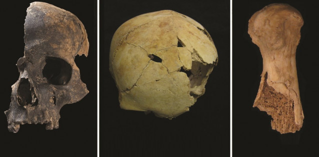 El Análisis De Huesos Masacrados Sugiere Una Violenta 'Otredad' De Los Enemigos En La Gran Bretaña De La Edad Del Bronce