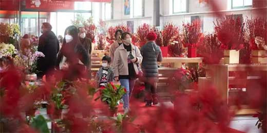 CHINA ALEGA