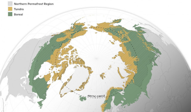 Mapa del área de estudio de la zona ártico-boreal que representa los bosques boreales, la tundra y la región de permafrost.