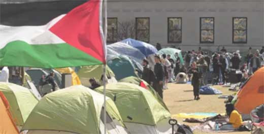T PROTESTAS
