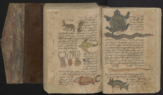 Tres sepias y otros animales marinos y terrestres. De un manuscrito árabe del Libro de las Hierbas de Dioscórides
