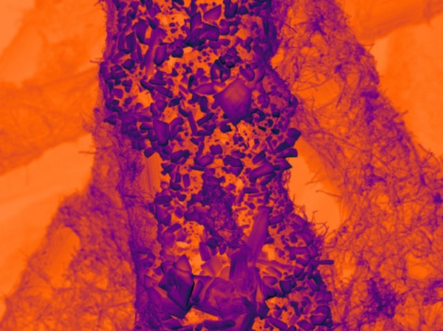 Las partículas de estaño sobre un soporte de carbono nanotexturizado sirven como un electrocatalizador eficaz para convertir el CO2 en productos valiosos.