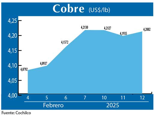 COBRE 12 02 (2)