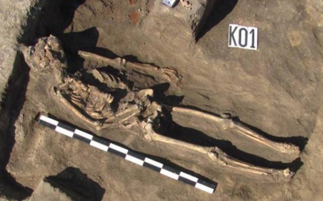 Retos óxeos de los que se tomo ADN antiguo para el estudio