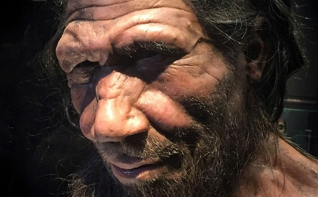 Recreación artística de un neandertal