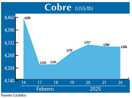 COBRE 24 02 (2)