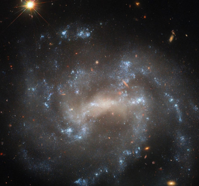 La galaxia espiral UGC 5460 brilla en esta imagen del telescopio espacial Hubble de la NASA/ESA