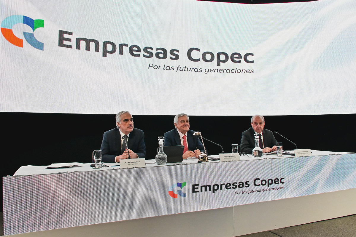Junta Accionistas Empresas Copec 2024