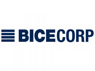 BICECORP.web (2)