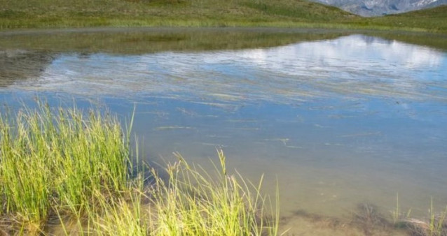 La mayor parte del carbono secuestrado en la tierra se almacena en el suelo y el agua.