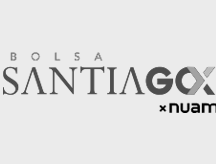 Logo SantiagoNUAM gris