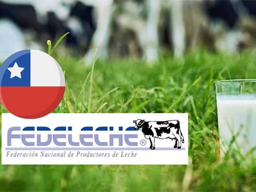 Fedeleche