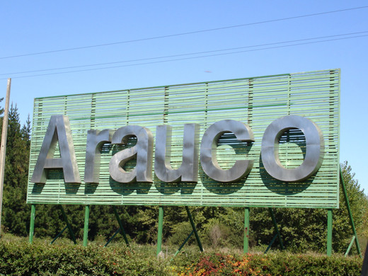 Celulosa arauco 1.web (1)