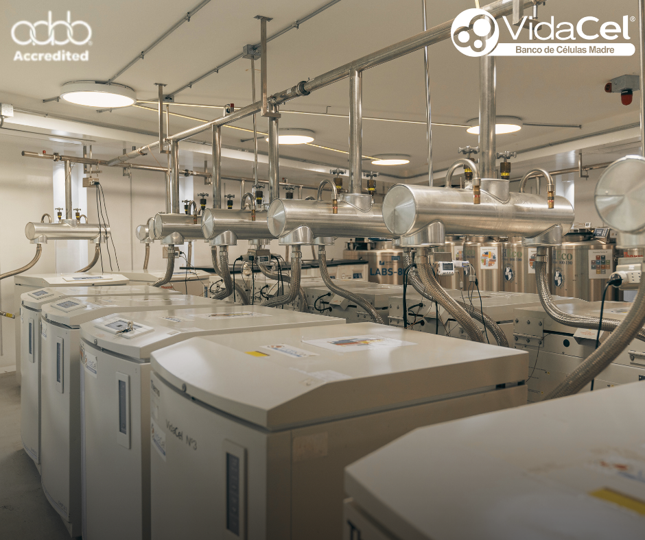 Laboratorio de VidaCel