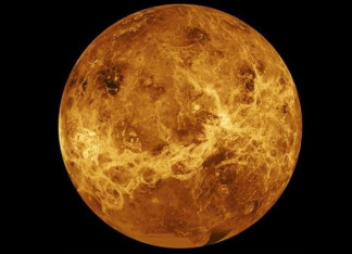Archivo - Venus