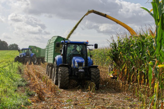 Archivo - Agricultor y tractor