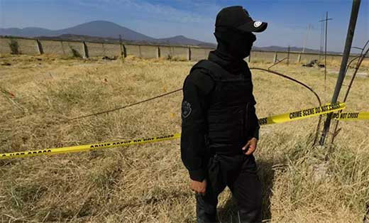 MEX