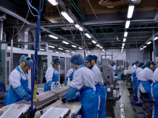 Industria Manufacturera6 (2)