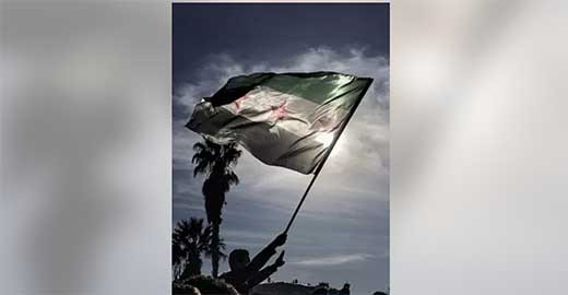 Siria bvco