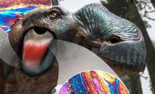 Una visualización del tejido blando de un dinosaurio.