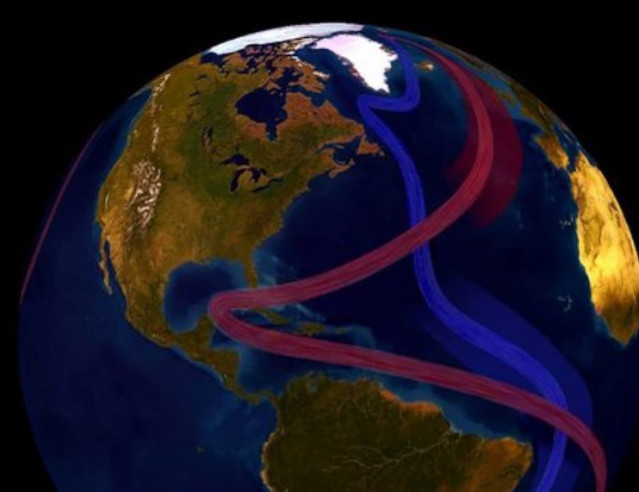 El agua fría y salada (azul) es densa y se hunde hasta el fondo del océano, mientras que el agua cálida (roja) es menos densa y sube a la superficie.