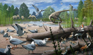Ilustración de aves del Cretácico con otros dinosaurios del mismo período al fondo. Un artículo de la revista Science documenta el ejemplo más antiguo conocido de anidación de aves en las region