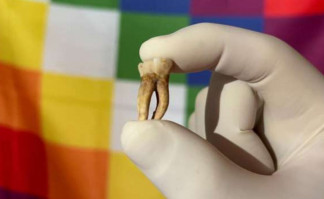 A partir de este tipo de muestra, las técnicas de ADN antiguo permiten la reconstrucción de genomas humanos y de patógenos del pasado. Al dorso, una bandera wiphala que representa a las comunidades