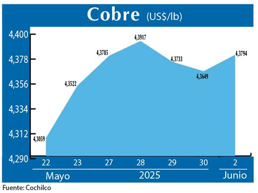 COBRE 2 06 (1)