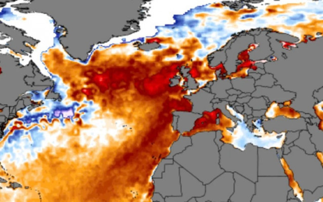 Anomalía de temperaturas en el Atlántico Norte en el verano de 2023