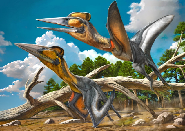 Visualización de la apariencia propuesta de Nipponopterus mifunensis