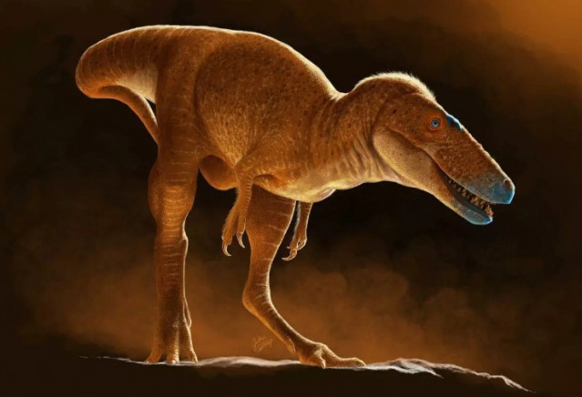 La especie Khankhuuluu pesaba 750 kilogramos, aproximadamente el tamaño de un caballo.