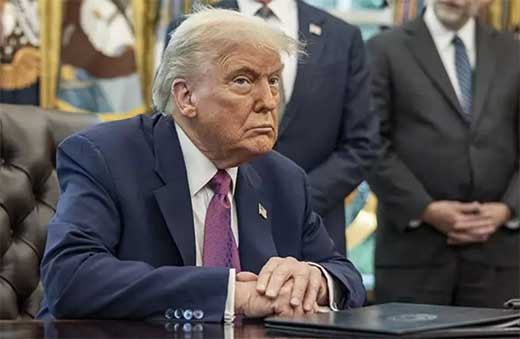 Trump dice