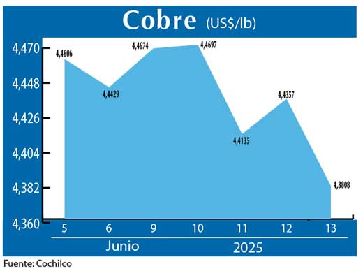 COBRE 13 06 (2)