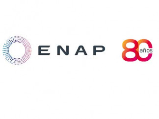 Enap logo