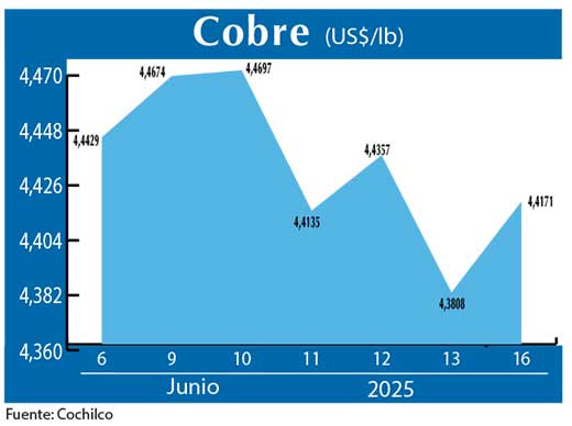 COBRE 16 06 (2)