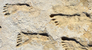 Las huellas humanas en el Parque Nacional White Sands en Nuevo México, descubiertas en 2021, muestran que la actividad humana ocurrió en América hace 23.000 años, unos 10.000 años antes de lo que