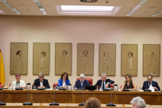 El vicepresidente primero de la Comisión, Modesto Pose (2i); la ministra de Sanidad, Mónica García (3i) y el presidente de la Comisión, Agustín Santos (4i), durante la Comisión de Sanidad, en el