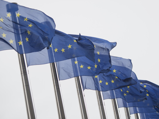 Bandera Euro.web (5)
