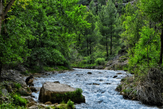 Archivo - El Consejo de Protección de la Naturaleza presenta el libro ‘Red Natura 2000 en Aragón’.