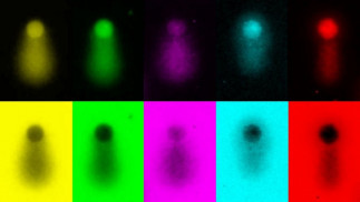 Imagen artística del ADN durante la replicación, en forma de cola de cometa.