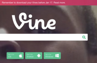 La aplicación Vine.