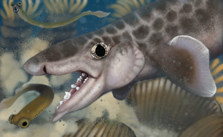 Propuesta de reconstrucción de la nueva especie científica Macadens olsoni, descubierta a través de la investigación de fósiles en el Parque Nacional Mammoth Cave.