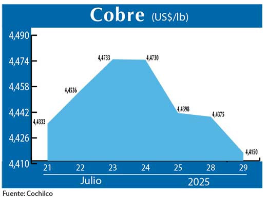COBRE 29 07 (3)