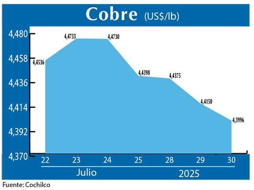 COBRE 30 07 (3)
