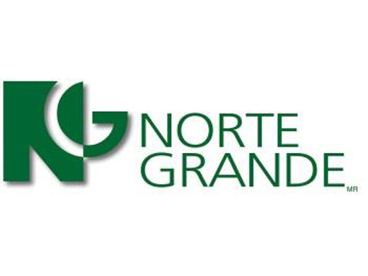 Norte grande logo