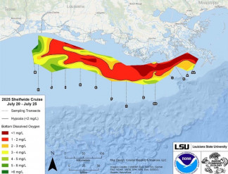 Imagen que muestra el mapa de la zona de hipoxia del Golfo medida, del 20 al 25 de julio de 2025. El área roja indica 2 mg/L de oxígeno o menos, el nivel que se considera hipóxico, en el fondo del 