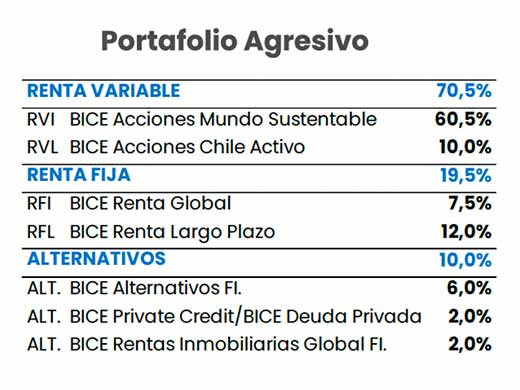 Portafolio agresivo