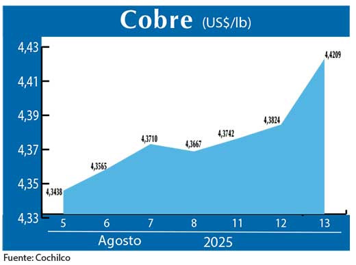 COBRE 13 08 (2)